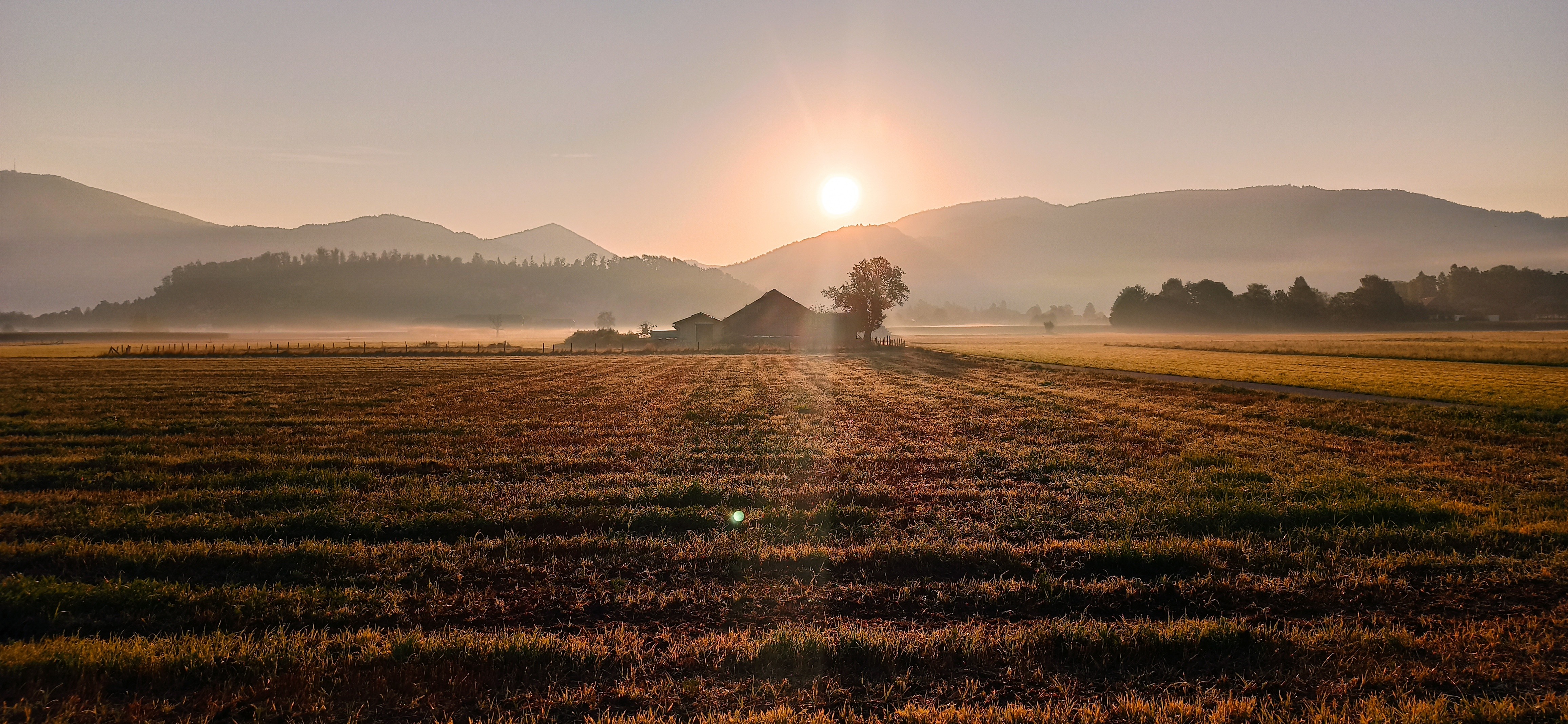 Anif am Morgen